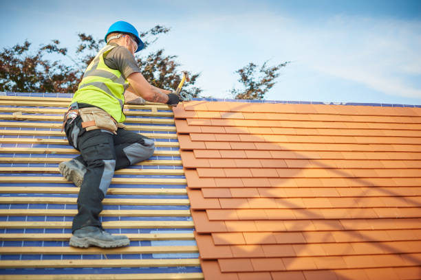 Best Sheet Metal Roofing  in Herrin, IL